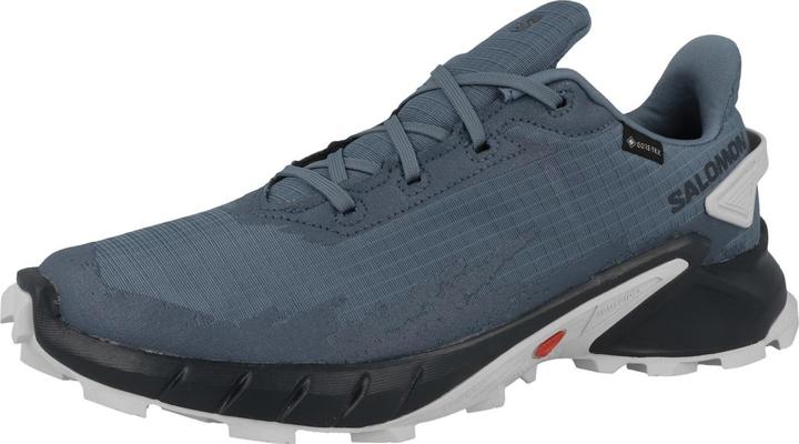 Image du produit Salomon Alphacross 4 GTX - 57153 (44)