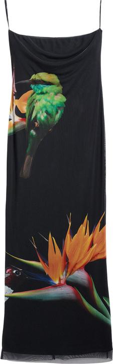 Image du produit Desigual Colibrî (M)