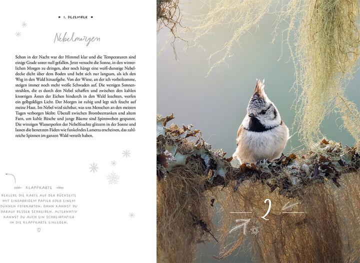 Actual product image Kosmos Winter Moments in Nature