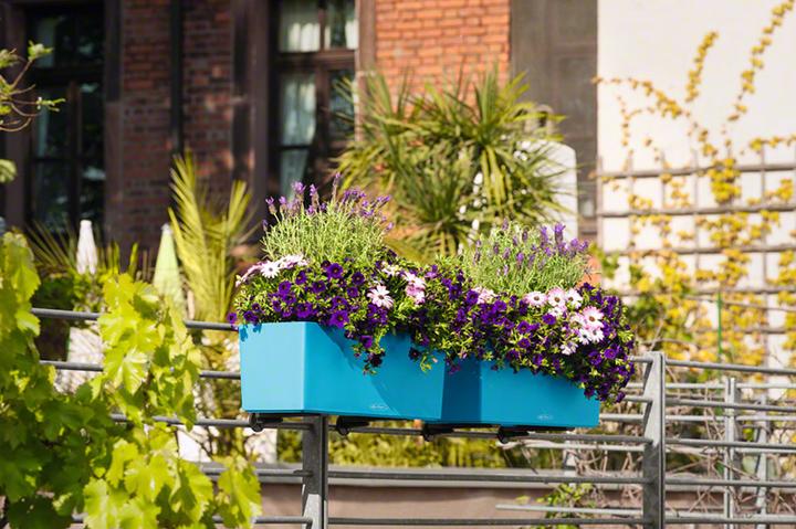 Actual product image Lechuza Balconera Color (19 cm)