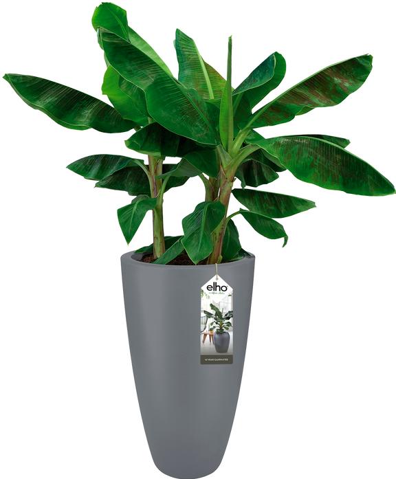 Produktbild Elho Pure Soft (39 cm)