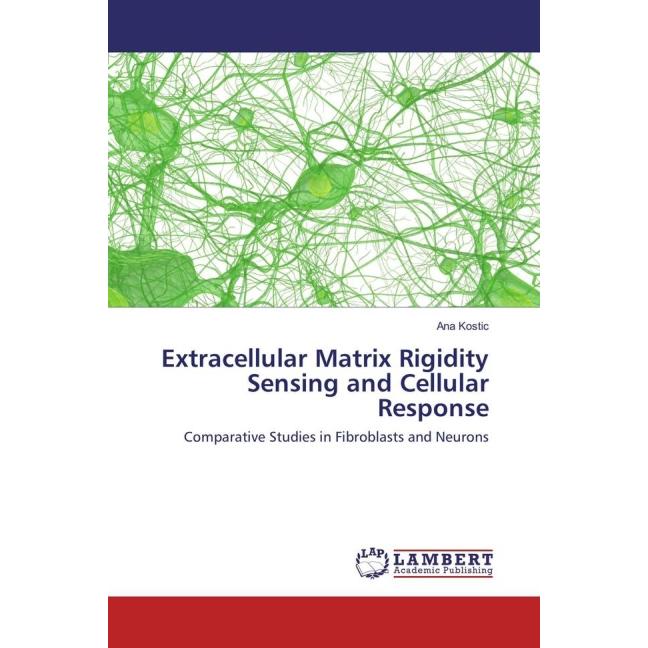 Extracellular Matrix Rigidity Sensing and Cellular Response, Fachbücher