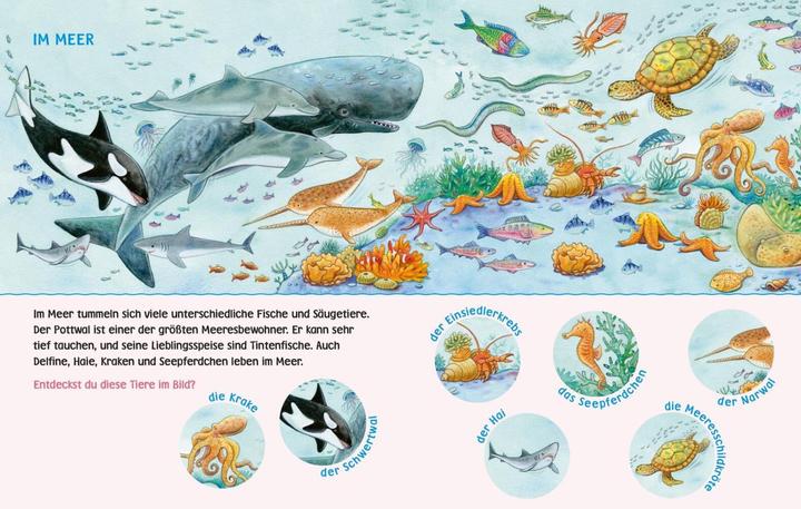 Actual product image Picture Book Baby Pixi HB23 (German)