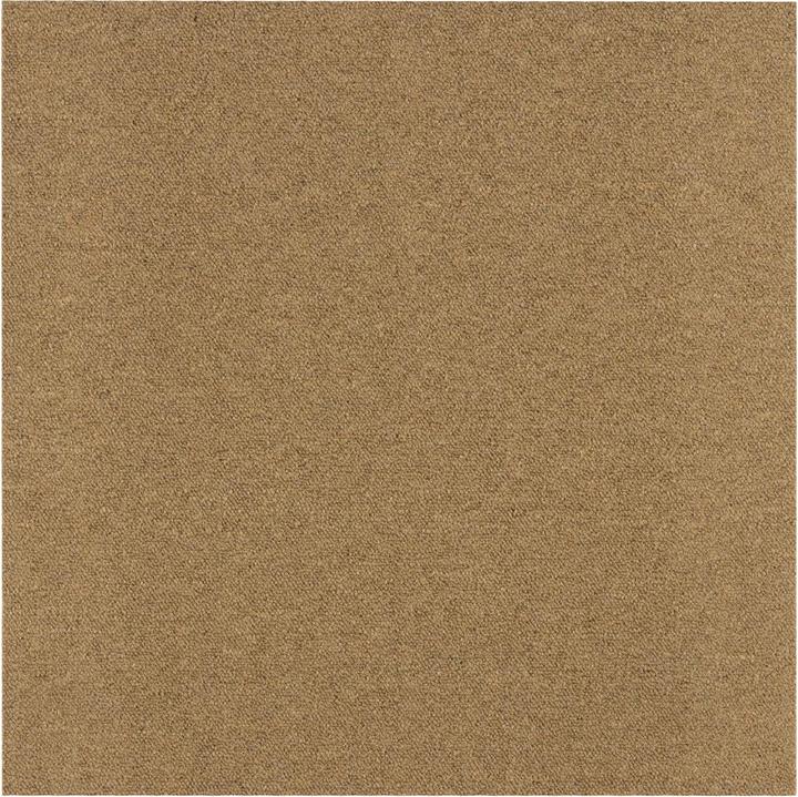 Beige EDG135F01