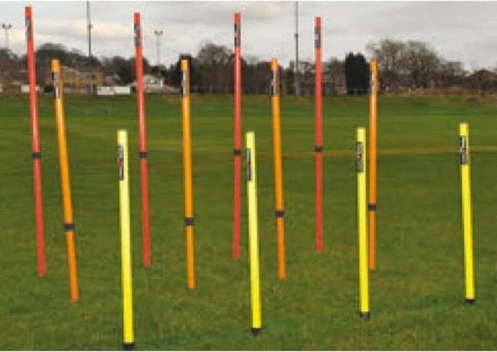 Actual product image Precision Height adjustable slalom bars Precison