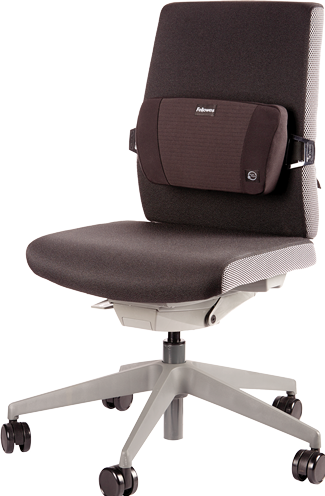 Immagine prodotto Fellowes Supporto per la schiena Plush Touch