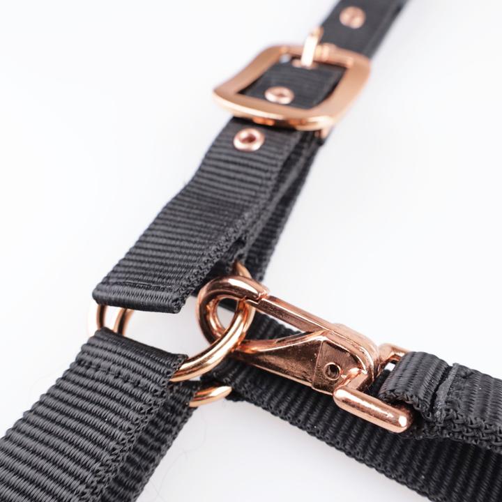 Produktbild Usg Everyday