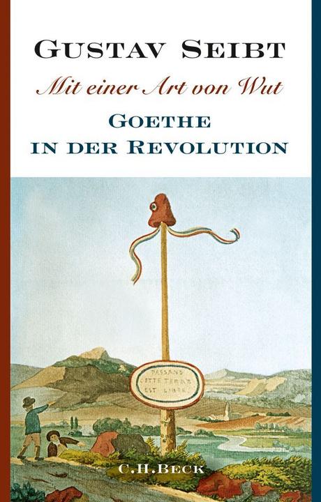 Produktbild Mit einer Art von Wut (Deutsch, 2014)