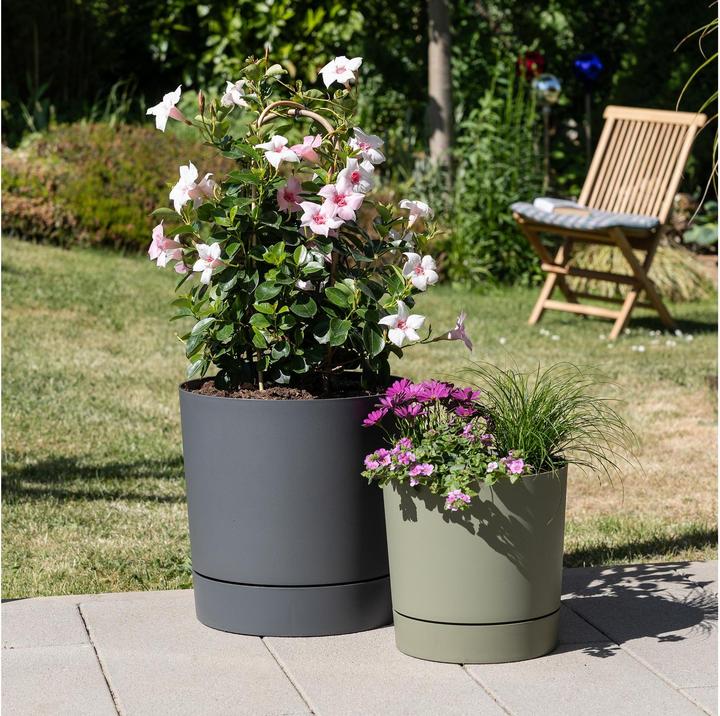 Produktbild Scheurich PLANO+ 32 l Grün