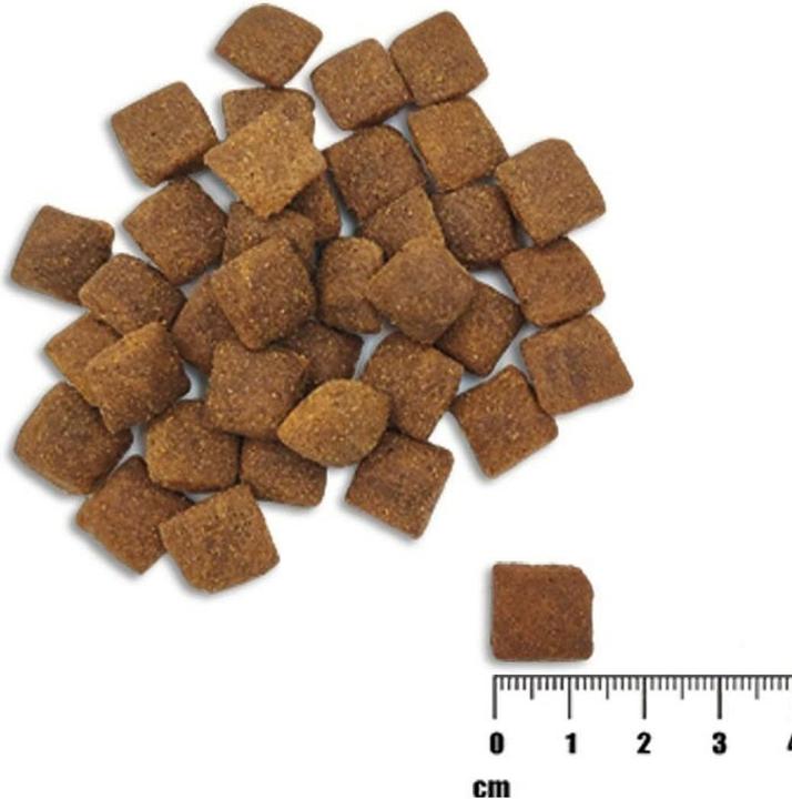 Actual product image Raw Paleo Healthy Grain Adult Salmon & Barley (Adult, 1 pcs., 2000 g)