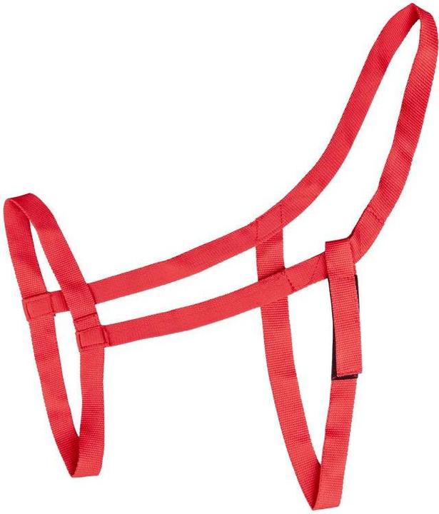 Immagine prodotto Waldhausen cavezza da pascolo