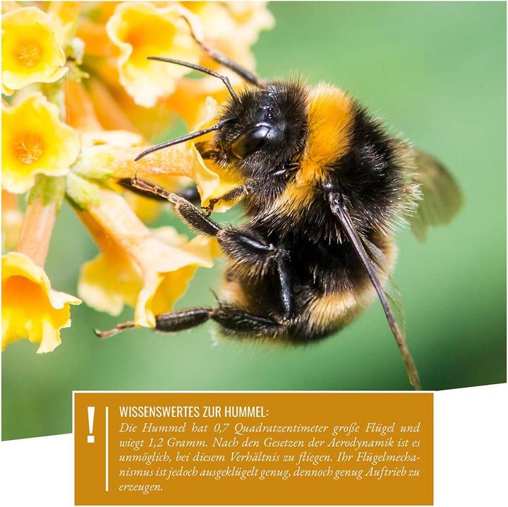 Produktbild Wildtier Herz Hummelhotel zum Aufhängen (Hummeln)