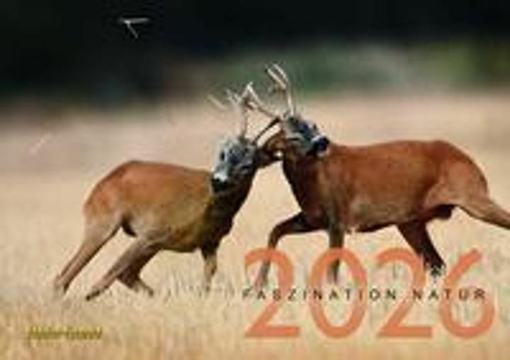 Image du produit Kosmos Faszination Natur Kalender 2026