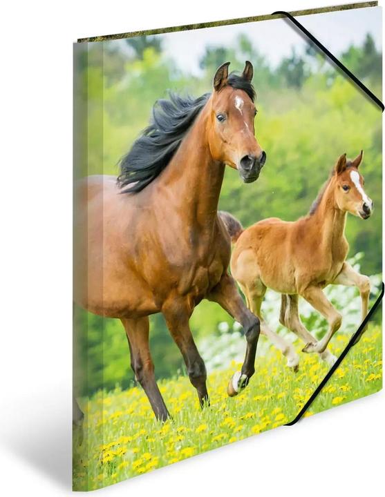 Produktbild HERMA Sammelmappe A3 Motiv (A3, 1x)