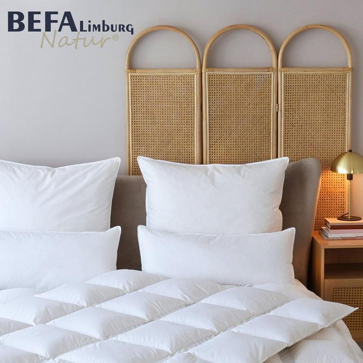 Produktbild BEFA Limburg Natur Federkissen, 100% Federn (60 x 80 cm)