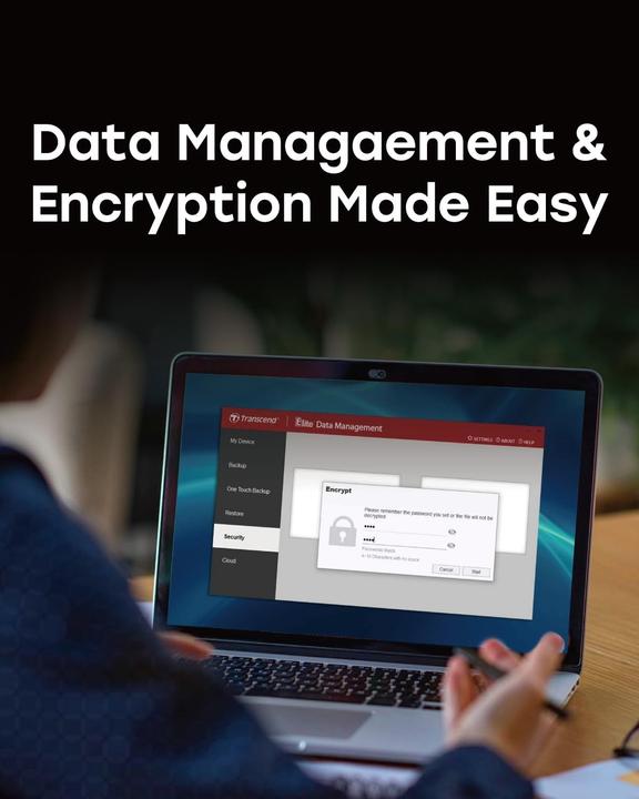 Productafbeelding Transcend ESD420 (2 TB)