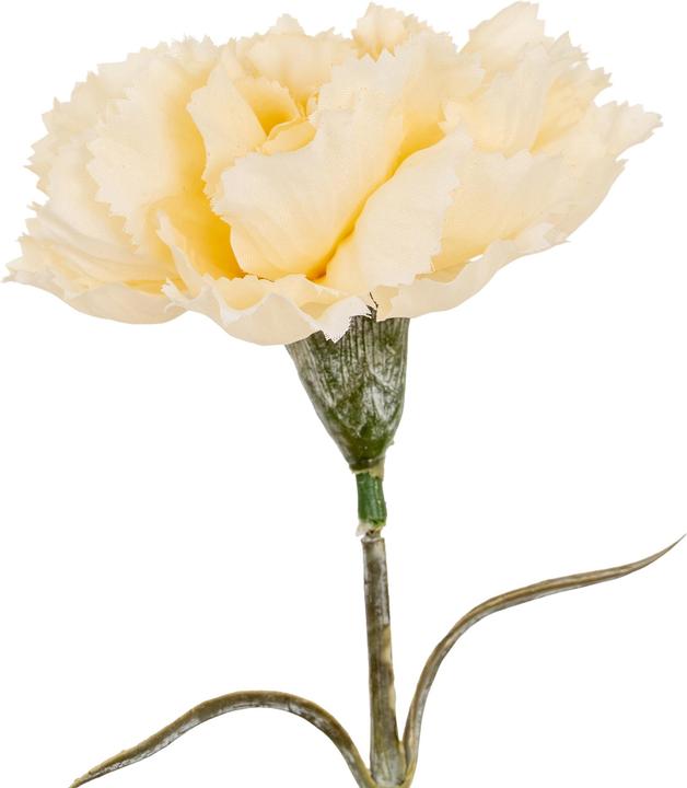 Immagine prodotto Hill Interiors Garofano Fiore Artificiale (56 cm)