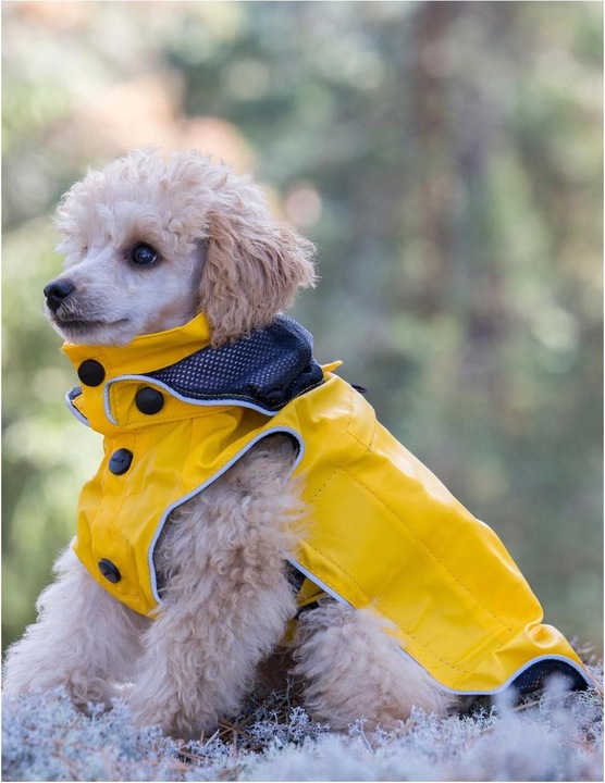 Image du produit Rukka Stream (50, Manteau pour chien)