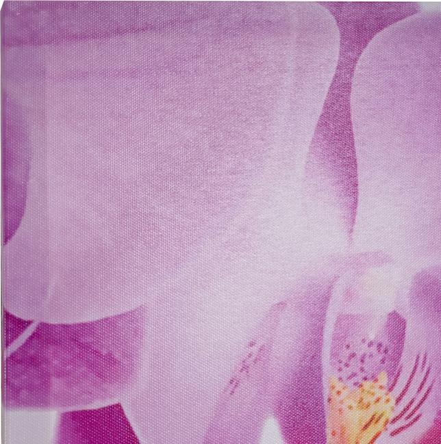 Produktbild Swisshandel24 Leinwandbild, Wandbild Keilrahmenbild Kunstdruck, 7-teilig 140x50cm - Pfau (140 x 50 cm)