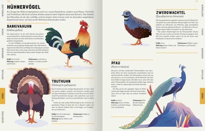 Produktbild Das grosse Lexikon der Tiere (Deutsch, Andreas Jäger, Jarom Vogel, Jules Howard, 2022)