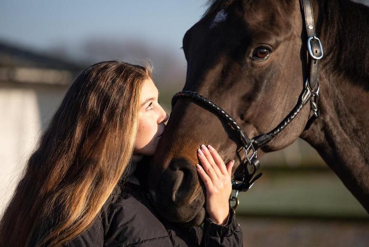 Produktbild HFI Master Halfter aus Leder