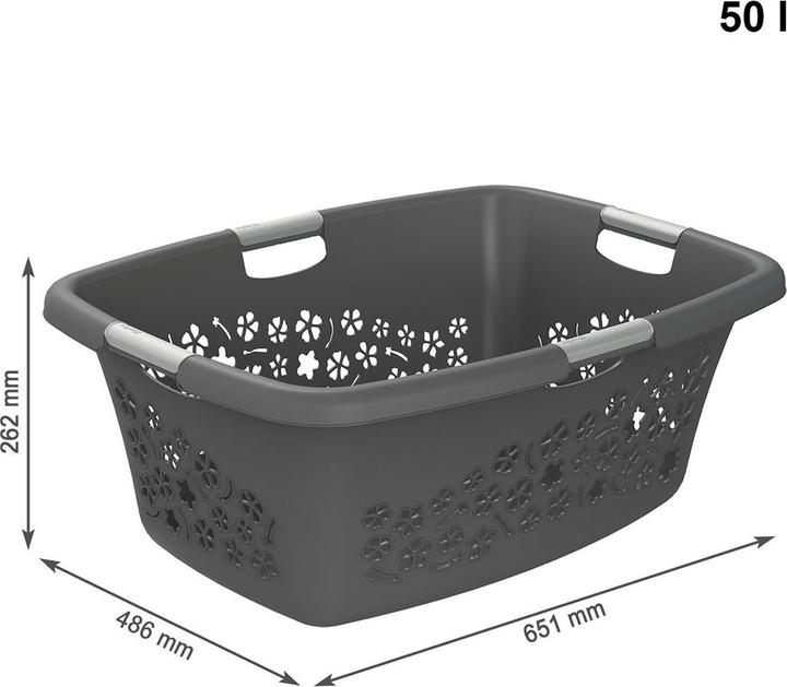 Image du produit Rotho Fleurs (50 l)