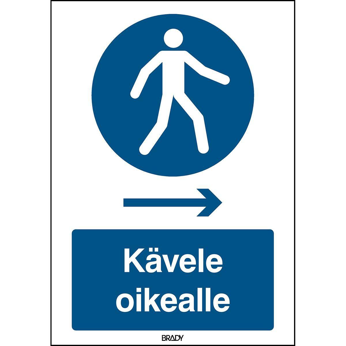 Brady, Sicherheitskennzeichnung, ISO Safety Sign - Use this