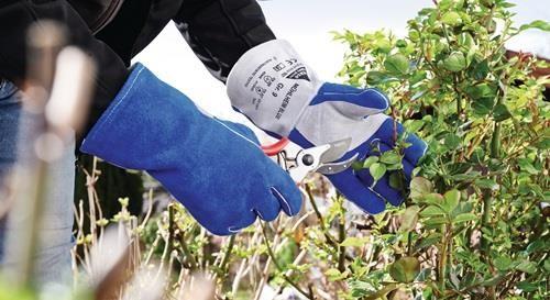 Actual product image Hase Welding gloves Mühlheim Blue size 11 blue/grey EN 388, EN 12477 PPE category II (11)