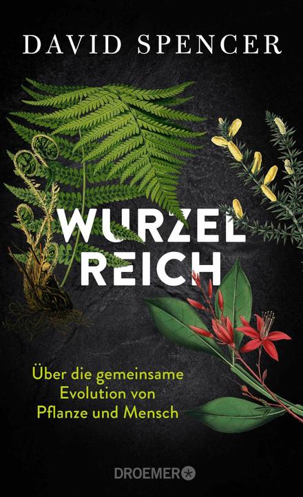 wie viel erde für blumenkasten Beton Blumenkasten grau, länglich main image 0