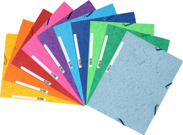 Actual product image Exacompta Folder (A4, 1 x)