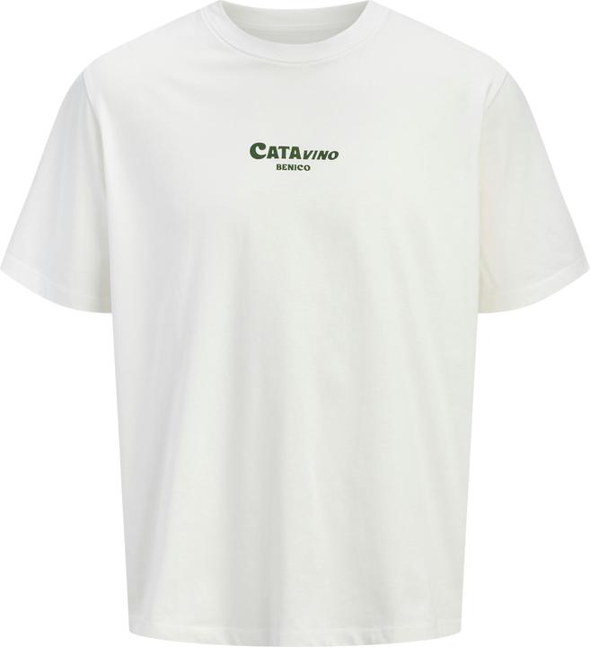 Jack & Jones Jorbradley Fruits Tee Ss C.N Stmss25