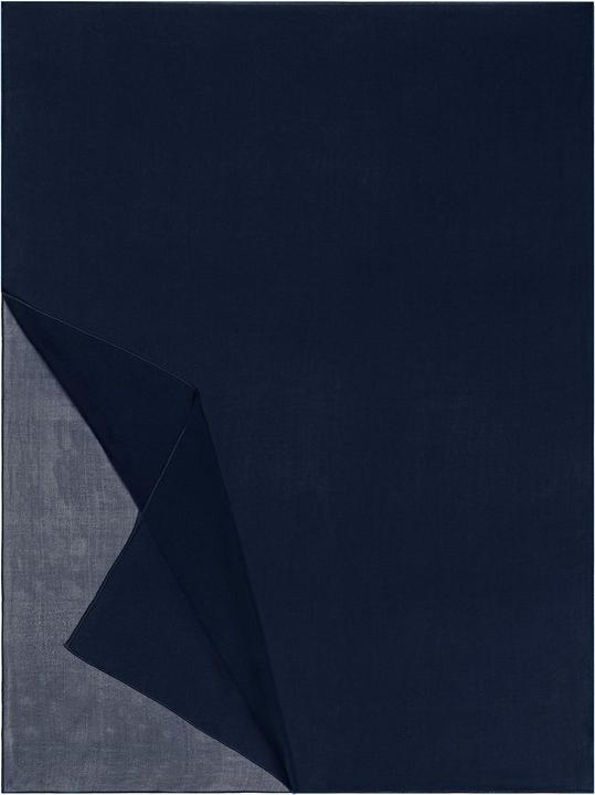 Roeckl Classic Georgette Scarf