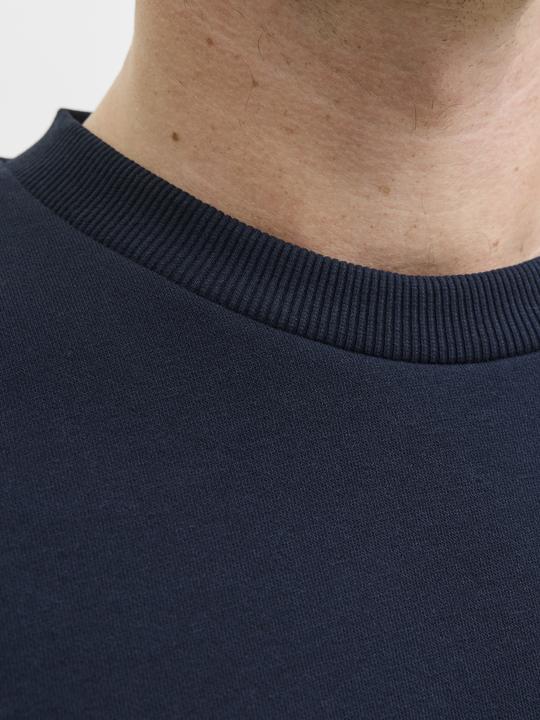 Image du produit Jack & Jones Jjbrandy Sweat Crew Neck Ln (L)