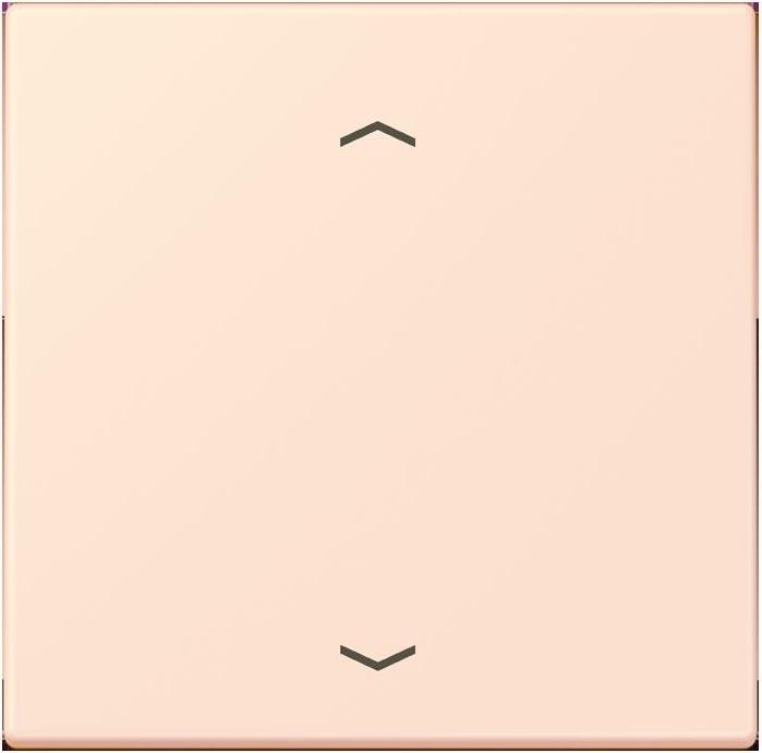 Image du produit JUNG Bouton de contrôle