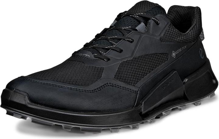 Ecco Biom 2.1 X Mountain