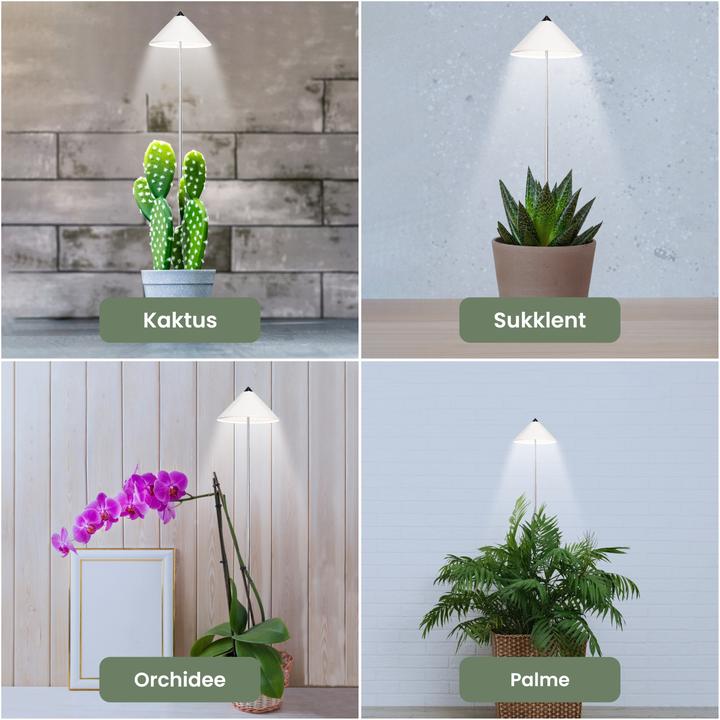 Immagine prodotto Colibri SUNLiTE bianco (LED, 230 V)