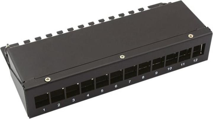 Image du produit Value Rack de modules Keystone, 12 ports, noir