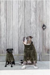 Produktbild Kentucky Dogwear Hundepullover Teddy Fleece (S, Hundepullover)