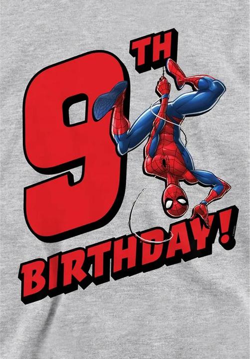Produktbild Spiderman Kapuzenpullover meliert 9 Geburtstag (128)