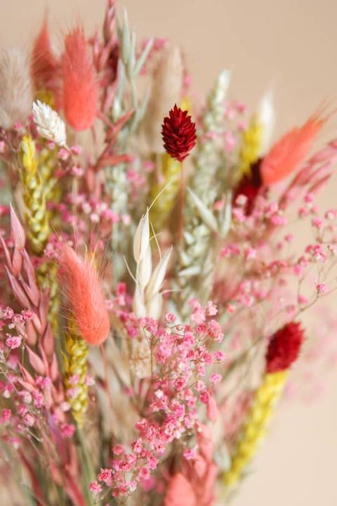 Produktbild la fleur douce Trockenblumen Harmony (Trockenblumen)