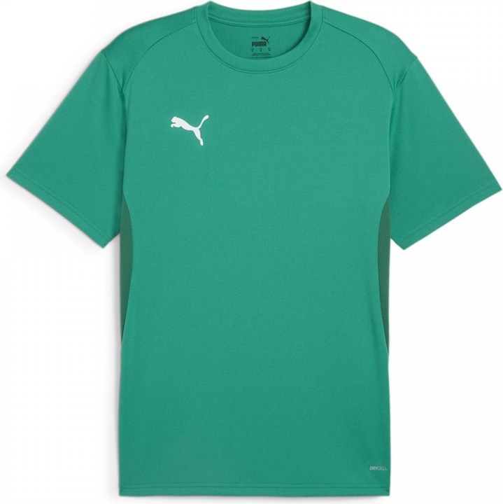 Actual product image Puma teamGOAL Jersey (L)