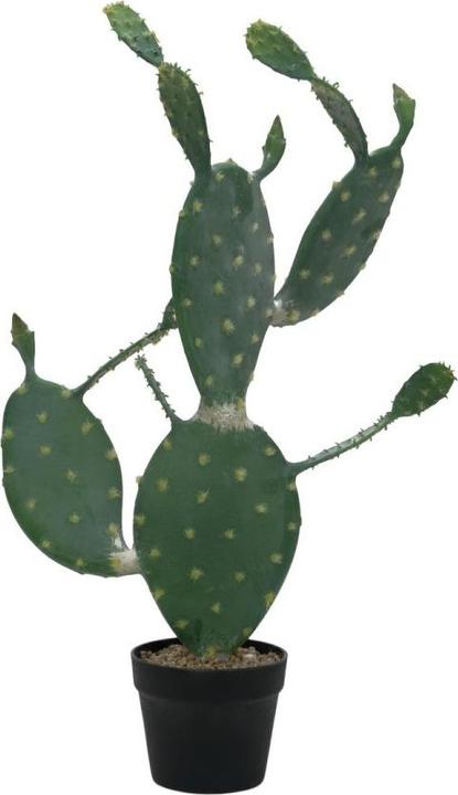 Europalms Bladcactus, Kunstplant, 76cm (76 cm)