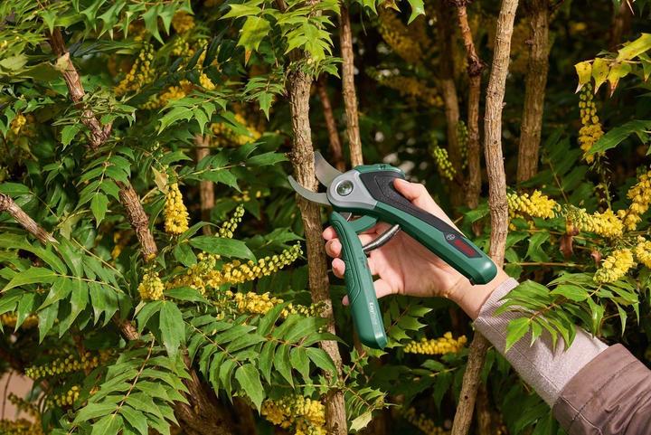 Actual product image Bosch Home & Garden Easy Prune with soft case