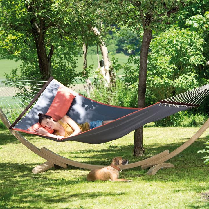 Actual product image Amazonas Apollo (160 kg)
