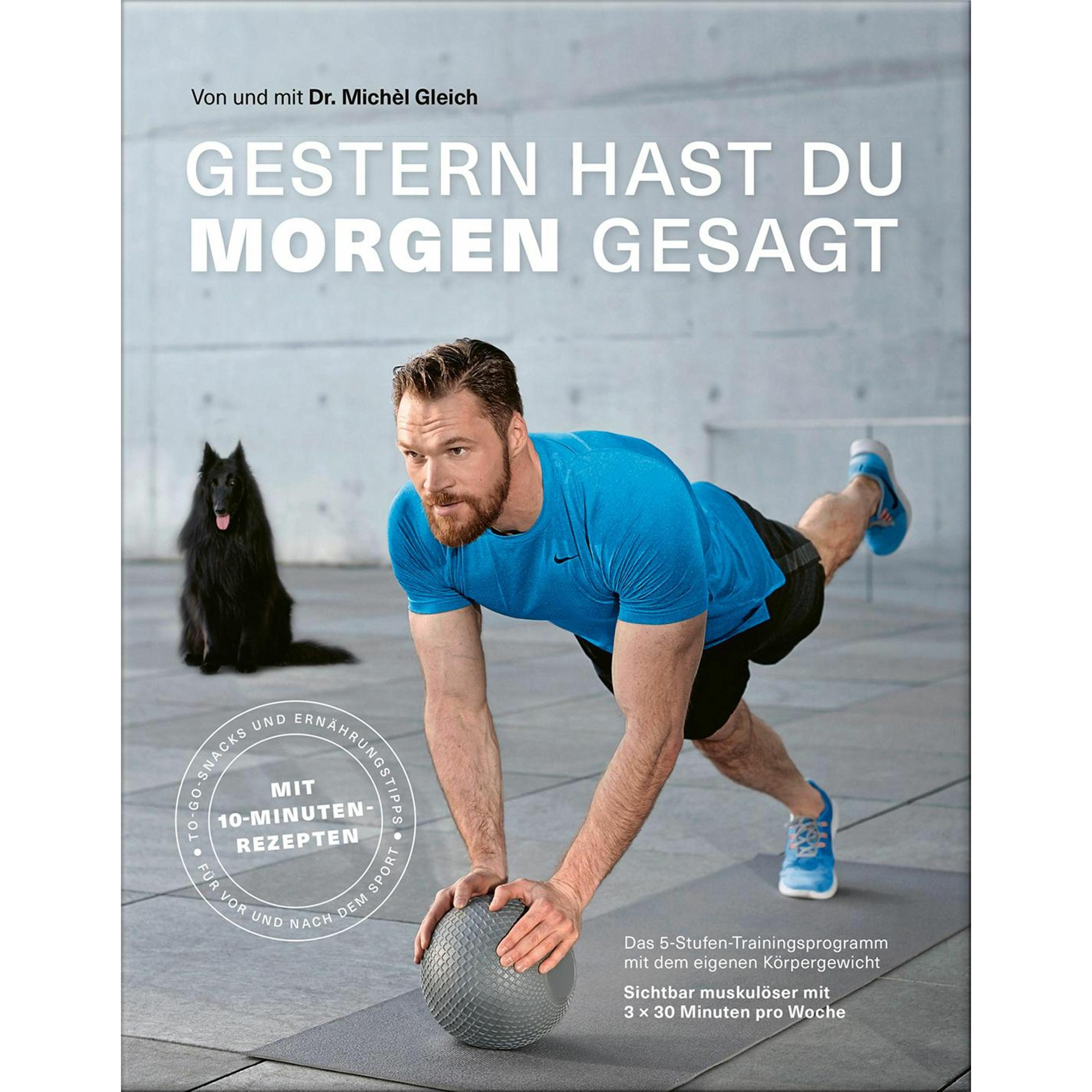 Gestern hast du morgen gesagt, Ratgeber von Michèl Gleich