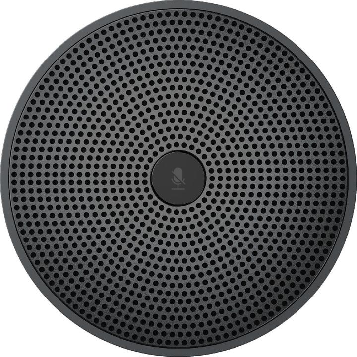 Immagine prodotto Audiocodes Rx40 USB Audio Perp With (20 W)