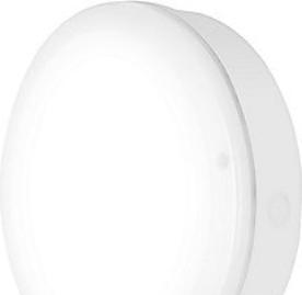 Actual product image Ledvance SF BLKH S 250 P10W 840 WT IP65 (800 lm)