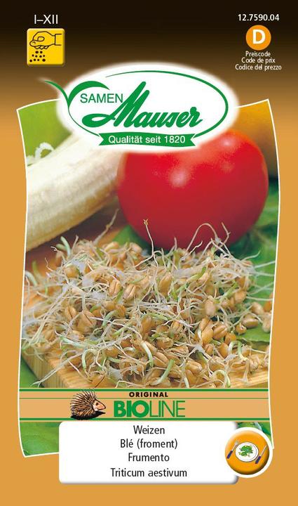 Image du produit Samen Mauser Germes de blé (Germes)