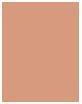 Produktbild Clinique True Bronze (02-Sunkissed, Bronzer, 9.35 g)