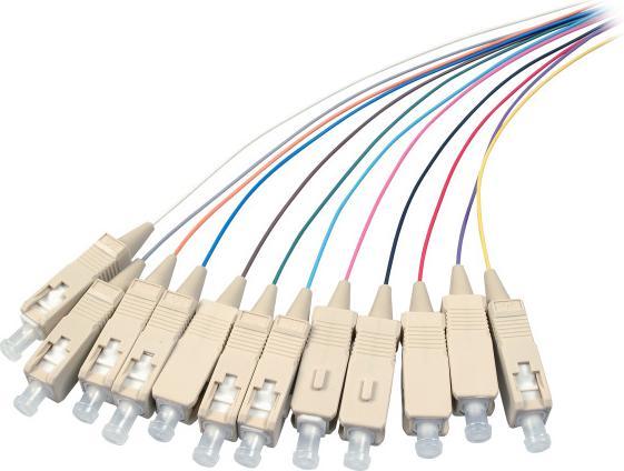 Actual product image EFB Elektronik SC 50/125µ OM4 2m 2m SC No Multicolor (2 m)